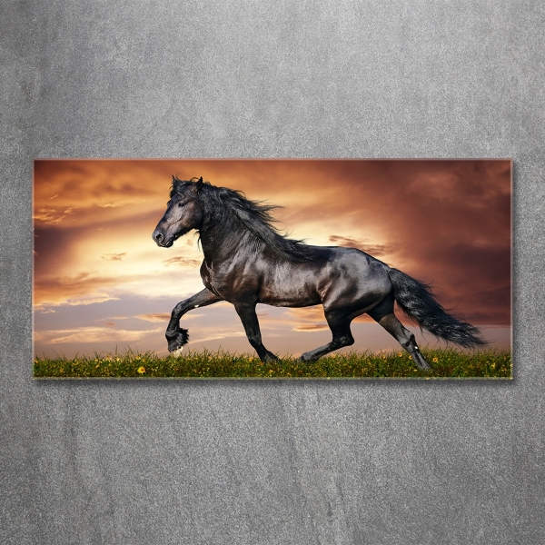 Cuadro decorativo de vidrio para salón horizontal Caballo de trote