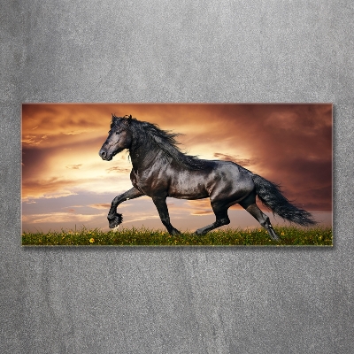 Cuadro decorativo de vidrio para salón horizontal Caballo de trote