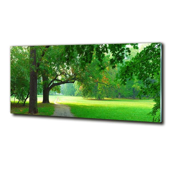 Impresión en cristal con acabado brillante horizontal Parque en otoño