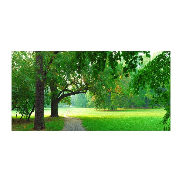 Impresión en cristal con acabado brillante horizontal Parque en otoño