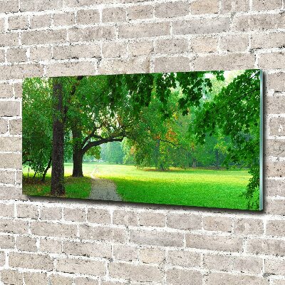 Foto obraz szkło hartowane Park jesienią