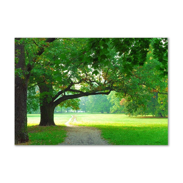 Impresión en cristal con acabado brillante horizontal Parque en otoño