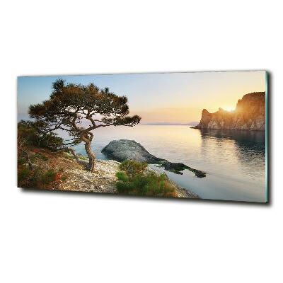 Impresión en cristal con acabado brillante horizontal Un árbol junto al mar