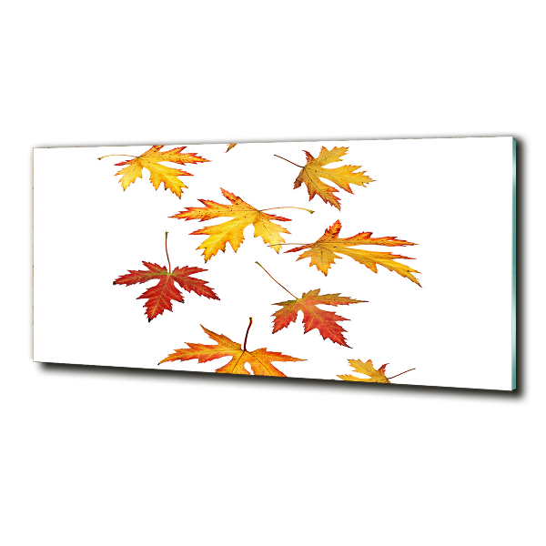 Cuadro decorativo de vidrio para salón horizontal Hojas de otoño