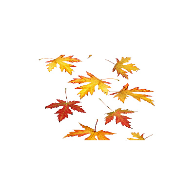 Cuadro decorativo de vidrio para salón horizontal Hojas de otoño