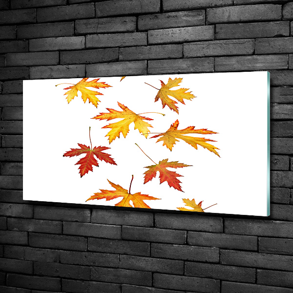 Cuadro decorativo de vidrio para salón horizontal Hojas de otoño