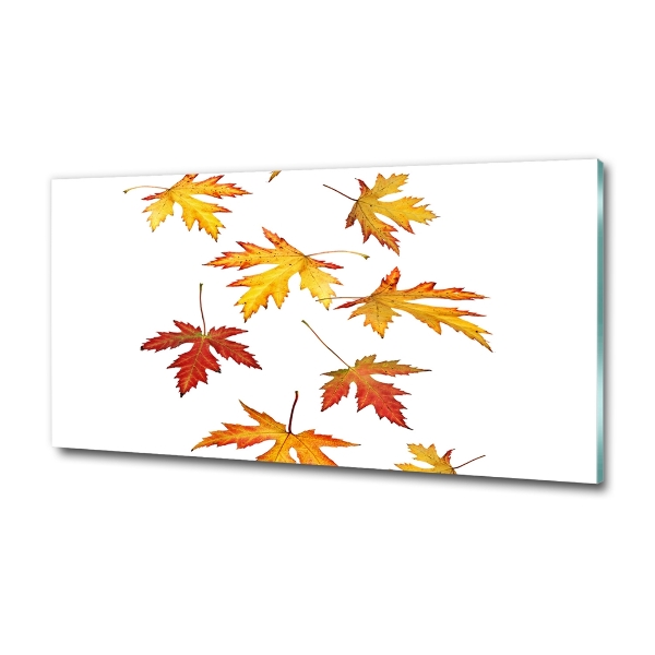Cuadro decorativo de vidrio para salón horizontal Hojas de otoño