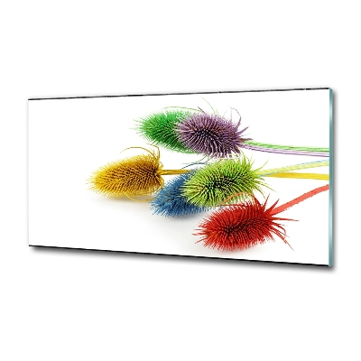 Foto en cristal de alta calidad con impresión uv horizontal Cardo