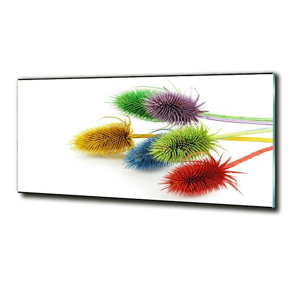 Foto en cristal de alta calidad con impresión uv horizontal Cardo