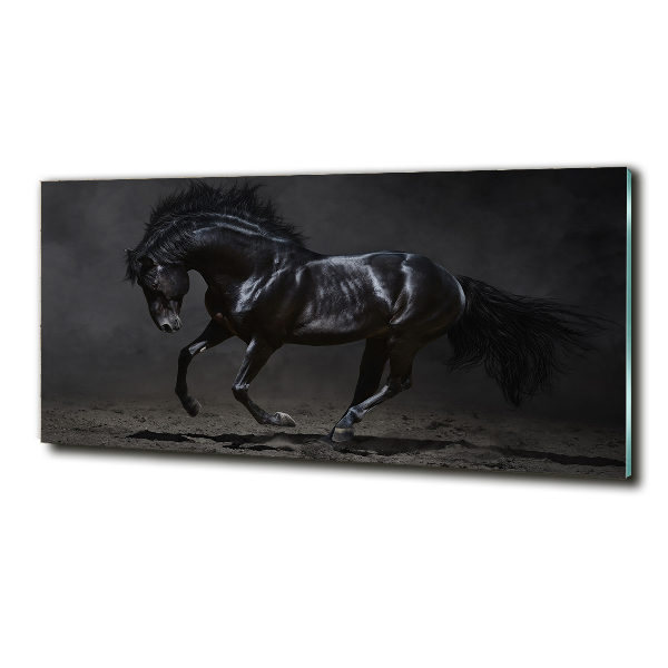 Cuadro de cristal templado moderno horizontal Caballo oscuro
