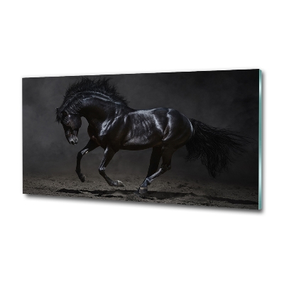 Cuadro de cristal templado moderno horizontal Caballo oscuro
