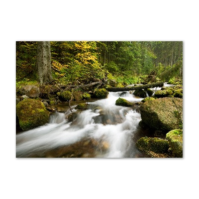 Impresión en cristal con acabado brillante horizontal Arroyo Olczyski