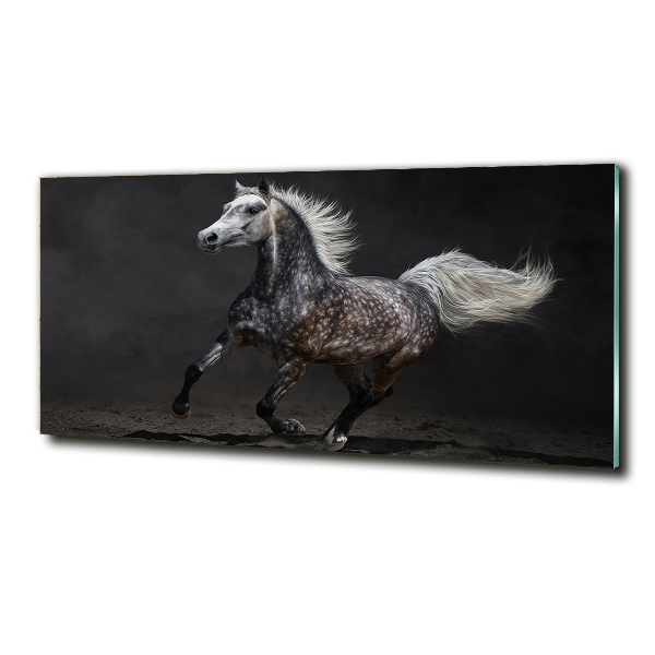 Cuadro decorativo de vidrio para salón horizontal Caballo árabe gris