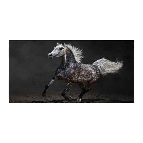 Cuadro decorativo de vidrio para salón horizontal Caballo árabe gris