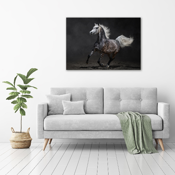 Cuadro decorativo de vidrio para salón horizontal Caballo árabe gris