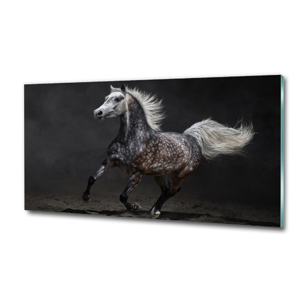 Cuadro decorativo de vidrio para salón horizontal Caballo árabe gris
