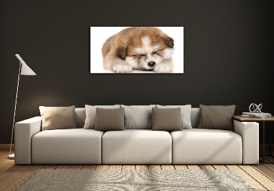 Foto en cristal de alta calidad con impresión uv horizontal Cachorro de Akita