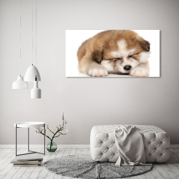 Foto en cristal de alta calidad con impresión uv horizontal Cachorro de Akita