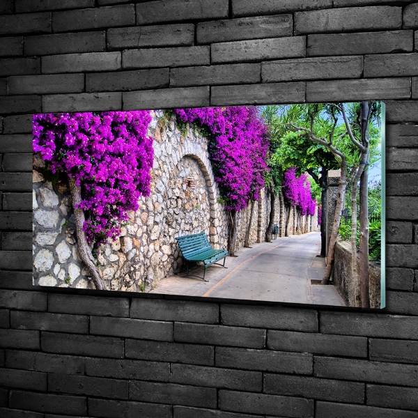 Cuadro de cristal templado moderno horizontal Calles con encanto