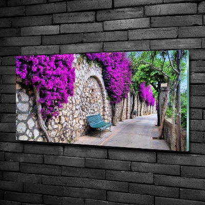 Cuadro de cristal templado moderno horizontal Calles con encanto