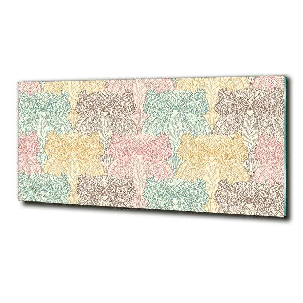 Foto-obraz zdjęcie szkło hartowane Sowy