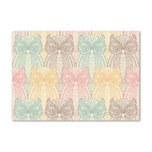 Foto en cristal de alta calidad con impresión uv horizontal Búhos