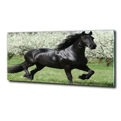Impresión en cristal con acabado brillante horizontal Flores de caballo negro