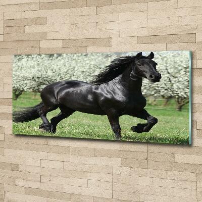 Impresión en cristal con acabado brillante horizontal Flores de caballo negro