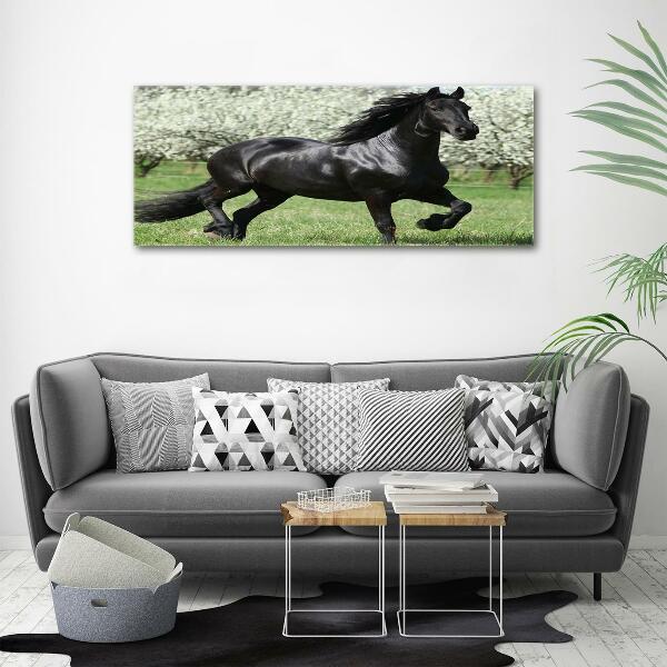 Impresión en cristal con acabado brillante horizontal Flores de caballo negro