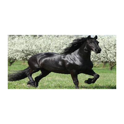 Impresión en cristal con acabado brillante horizontal Flores de caballo negro