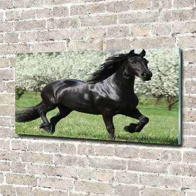 Impresión en cristal con acabado brillante horizontal Flores de caballo negro