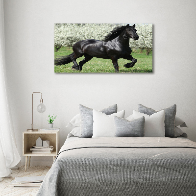 Impresión en cristal con acabado brillante horizontal Flores de caballo negro
