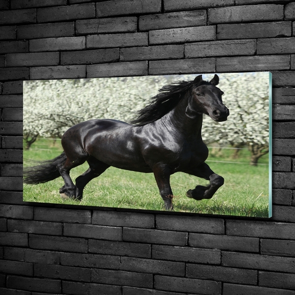 Impresión en cristal con acabado brillante horizontal Flores de caballo negro