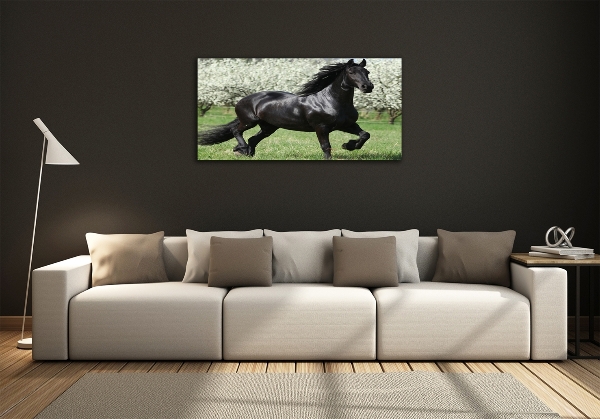 Impresión en cristal con acabado brillante horizontal Flores de caballo negro