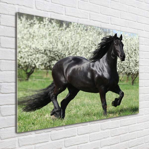 Impresión en cristal con acabado brillante horizontal Flores de caballo negro