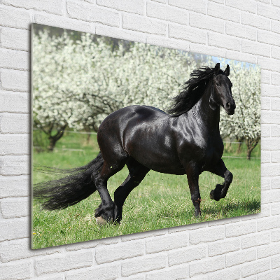 Impresión en cristal con acabado brillante horizontal Flores de caballo negro