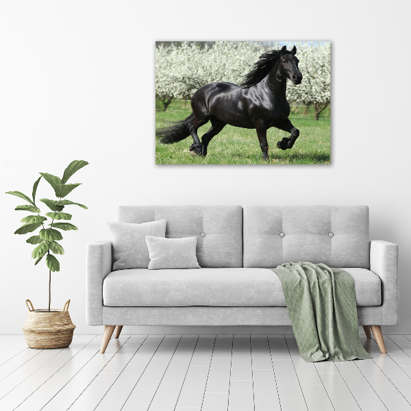 Impresión en cristal con acabado brillante horizontal Flores de caballo negro