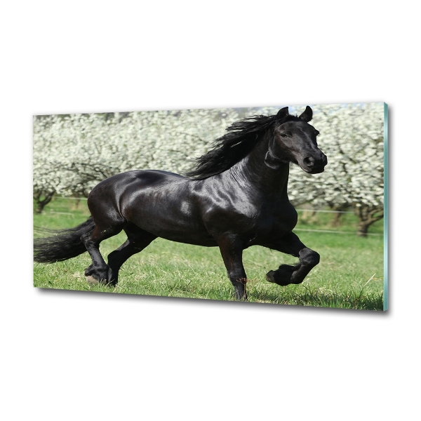 Impresión en cristal con acabado brillante horizontal Flores de caballo negro