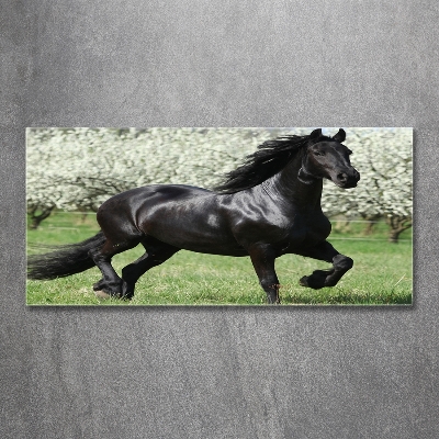 Impresión en cristal con acabado brillante horizontal Flores de caballo negro