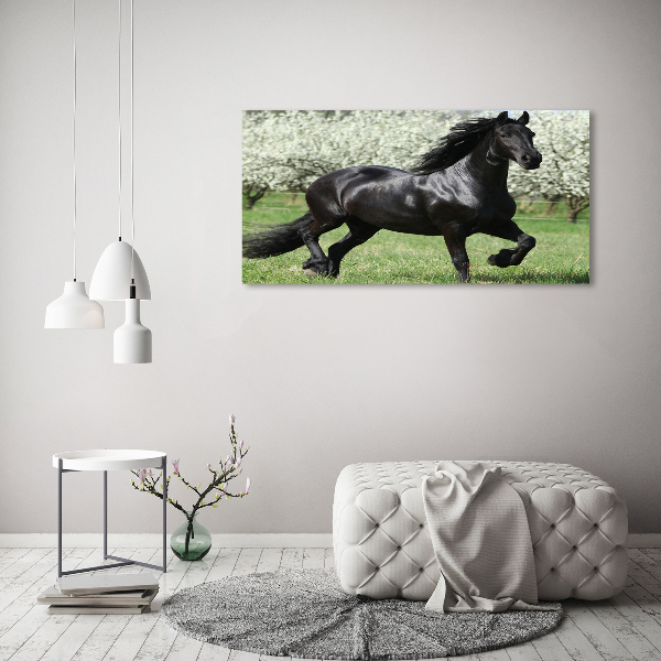 Impresión en cristal con acabado brillante horizontal Flores de caballo negro