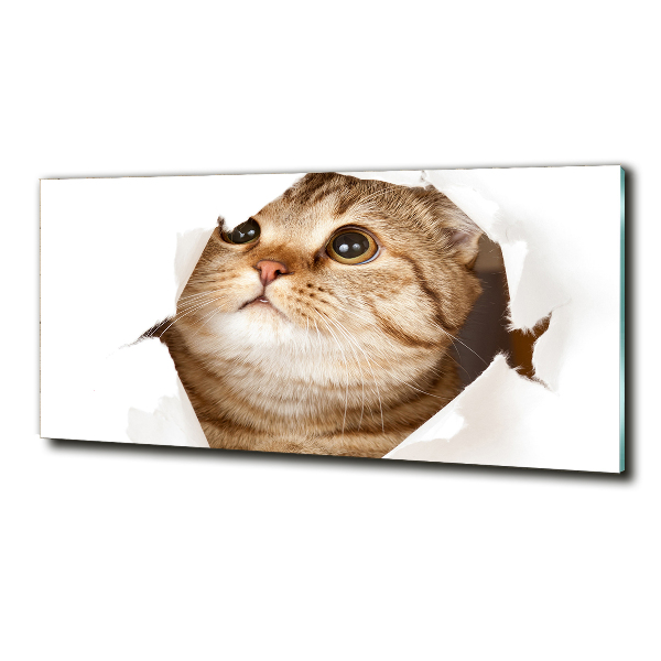Cuadro decorativo de vidrio para salón horizontal Gato