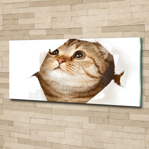 Cuadro decorativo de vidrio para salón horizontal Gato