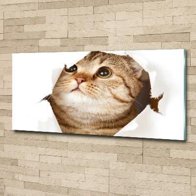 Cuadro decorativo de vidrio para salón horizontal Gato