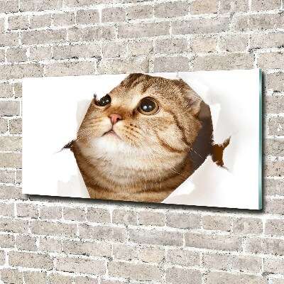 Cuadro decorativo de vidrio para salón horizontal Gato