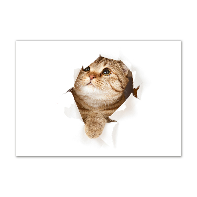 Cuadro decorativo de vidrio para salón horizontal Gato