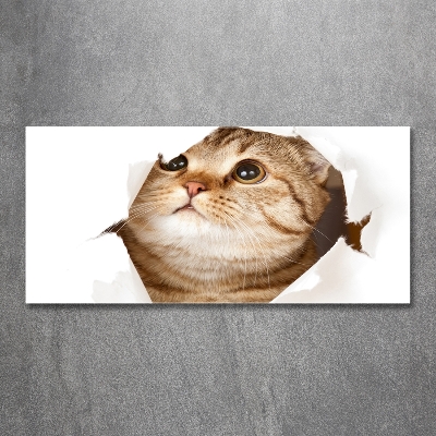 Cuadro decorativo de vidrio para salón horizontal Gato
