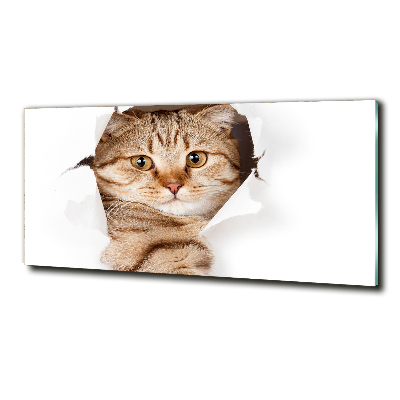 Foto en cristal de alta calidad con impresión uv horizontal Gato