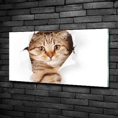 Foto en cristal de alta calidad con impresión uv horizontal Gato