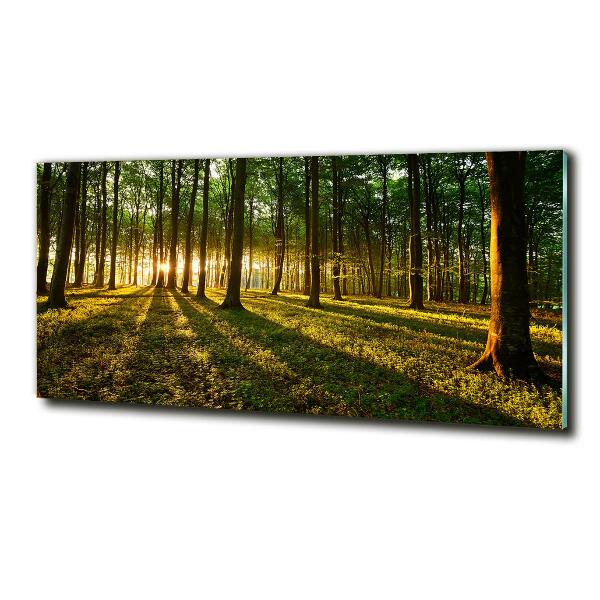 Cuadro decorativo de vidrio para salón horizontal Rayos de sol