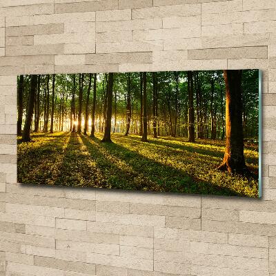 Cuadro decorativo de vidrio para salón horizontal Rayos de sol